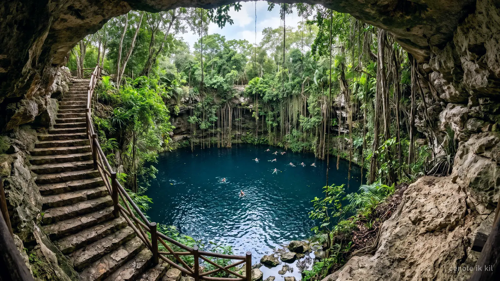 A deep round open cenote with long vines hanging from the rim to the water